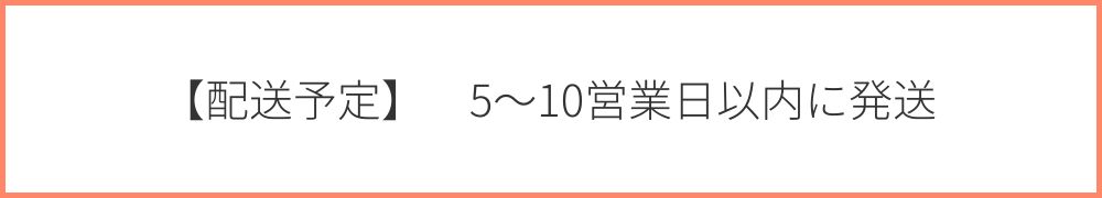 【配送予定】5〜10営業日以内に発送