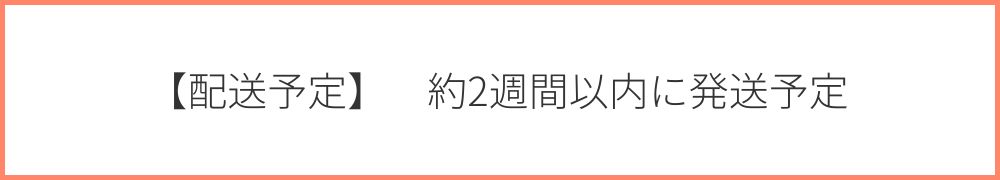 【配送予定】約2週間以内に発送予定