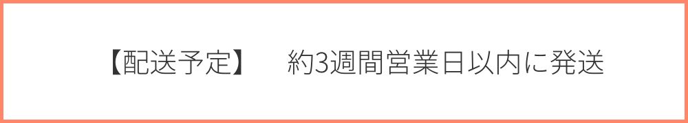 【配送予定】約3週間営業日以内に発送