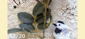 埼玉 川越『刺繍＆刺し子』手芸教室12/20(土)(シマヅカオリ先生)